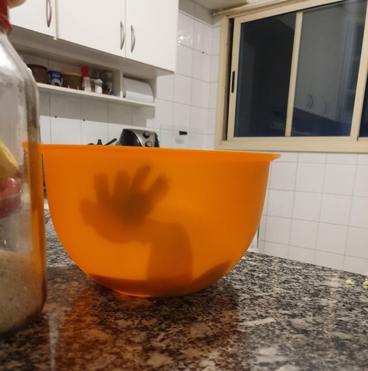 4 Bukti Kalau Dunia Nyata Lebih Aneh Dari Film Fiksi